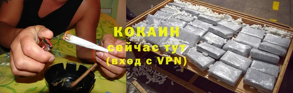 дживик Няндома