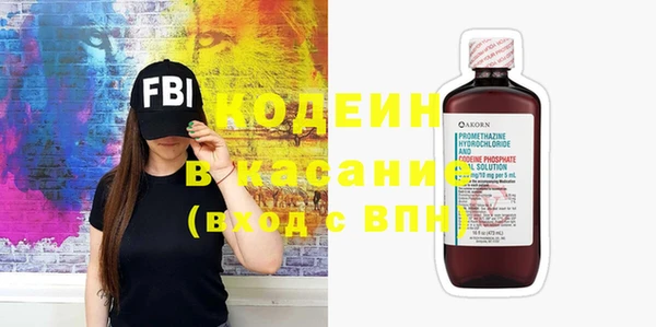 дживик Няндома