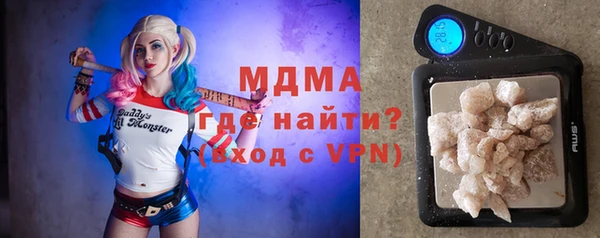 дживик Няндома