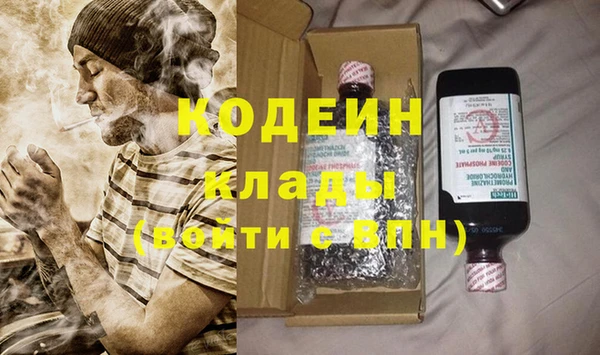дживик Няндома
