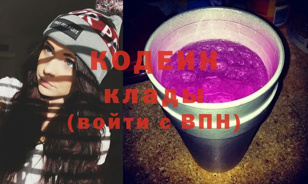 дживик Няндома