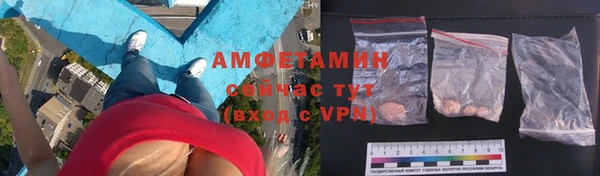 дживик Няндома