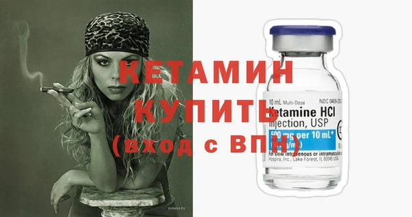 дживик Няндома