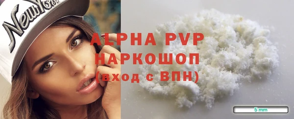 дживик Няндома