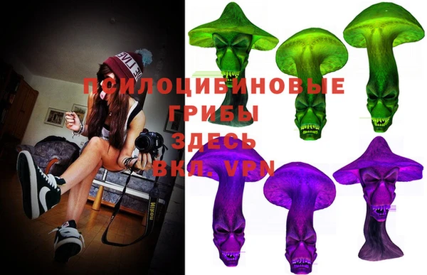 крисы Нягань