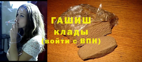 дживик Няндома