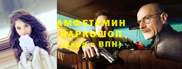 дживик Няндома