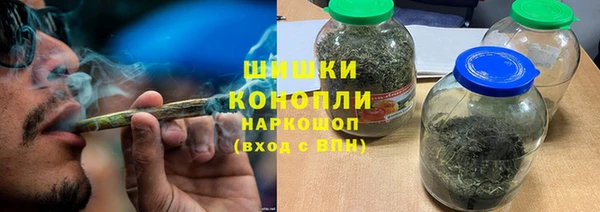 дживик Няндома