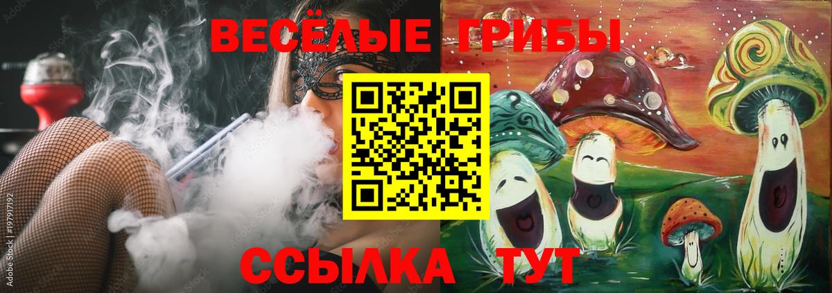 Псилоцибиновые грибы ЛСД Новомосковск
