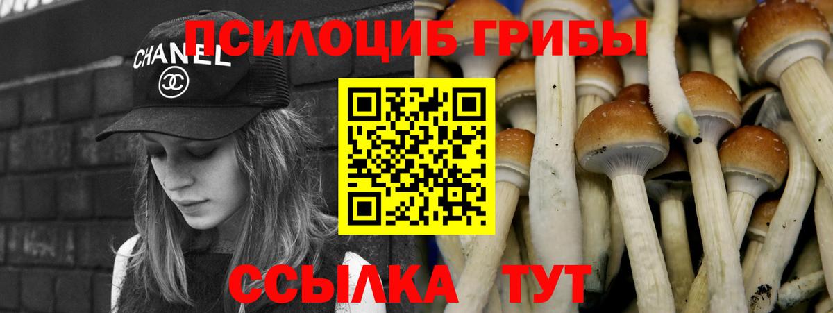 Галлюциногенные грибы мицелий  Новомосковск  Галлюциногенные грибы мицелий 