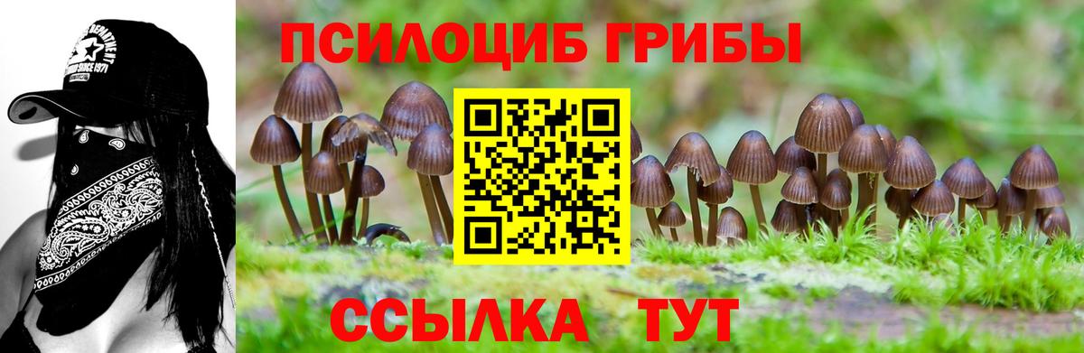 Новомосковск  Галлюциногенные грибы прущие грибы  купить закладку  Вход с VPN 