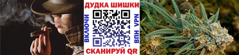 кракен зеркало  Новомосковск  Марихуана ГИДРОПОН  закладка 