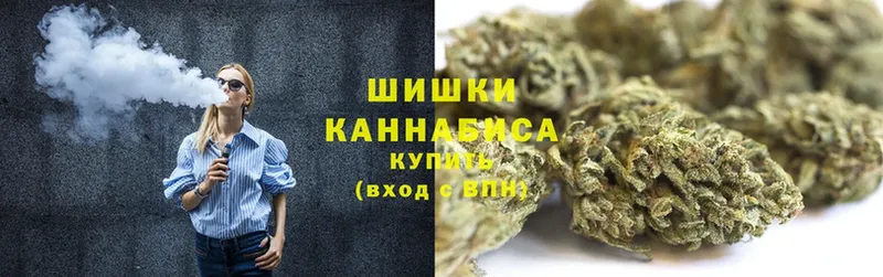 наркотики  Новомосковск  Каннабис SATIVA & INDICA 